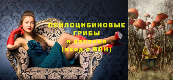 mdpv Кукмор