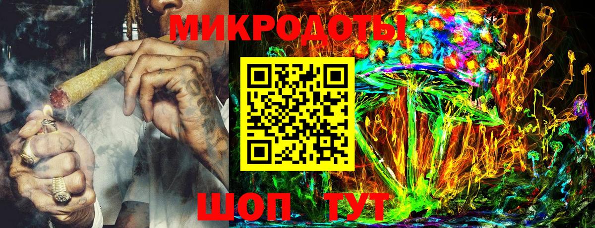 Новозыбков  Псилоцибиновые грибы Psilocybe  Вход с VPN 