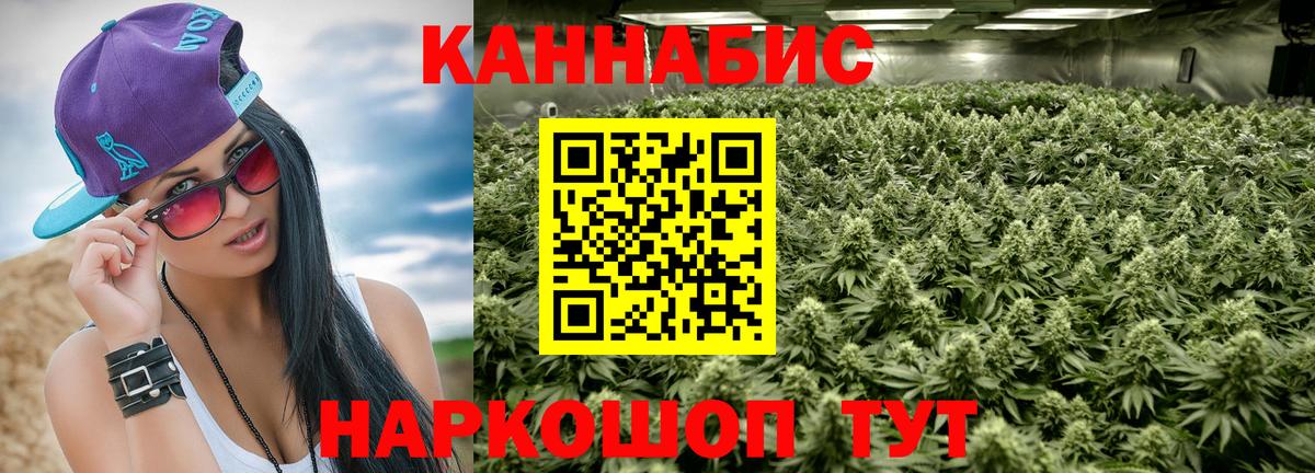Бошки марихуана гибрид Новозыбков